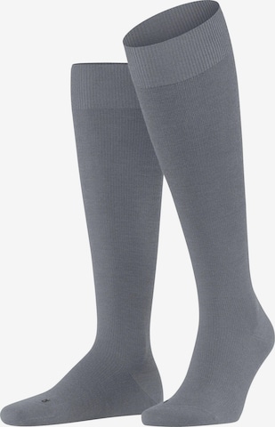 FALKE Kniestrümpfe 'Energizing Wool' in Grau: Vorderseite