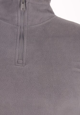 Pull-over NAEMI en gris