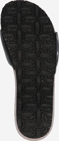 Scholl Iconic Pantofle 'PESCURA Lea' – černá