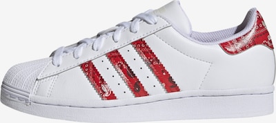 ADIDAS ORIGINALS Sneaker low 'Superstar' i rød / hvid, Produktvisning