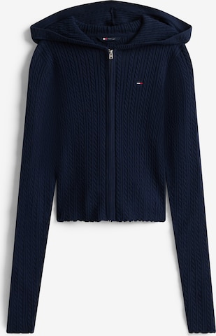 Tommy Jeans Вязаная кофта 'ESSENTIAL' в Синий: спереди