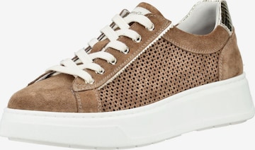 Sneaker bassa di Nero Giardini in marrone: frontale