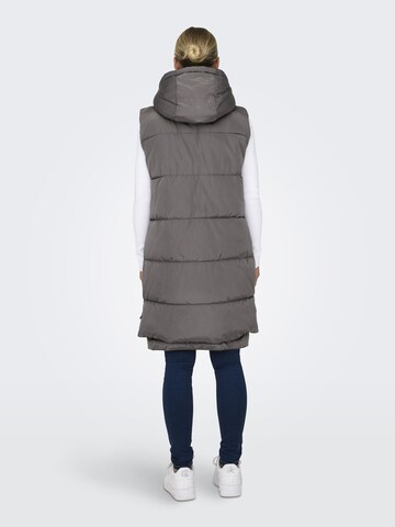 Gilet 'New Nora' ONLY en gris