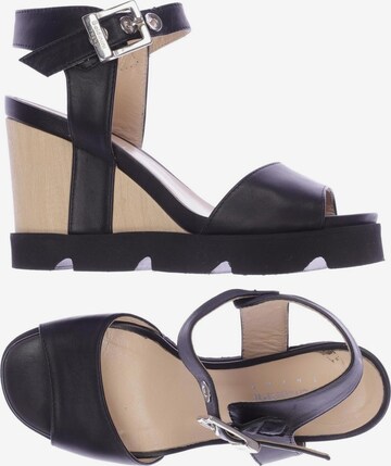 Baldinini Sandals & High-Heeled Sandals in 38 in Black: front