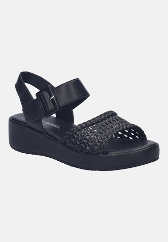 JOSEF SEIBEL Sandals in Black