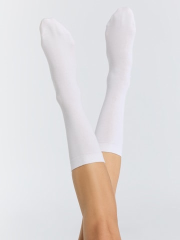 Albero Natur Socks in White