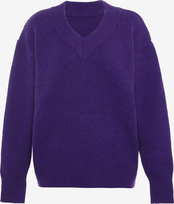 Libbi Sweater in Purple: front