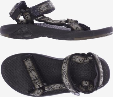 TEVA Sandals & Slippers in 40 in Grey: front