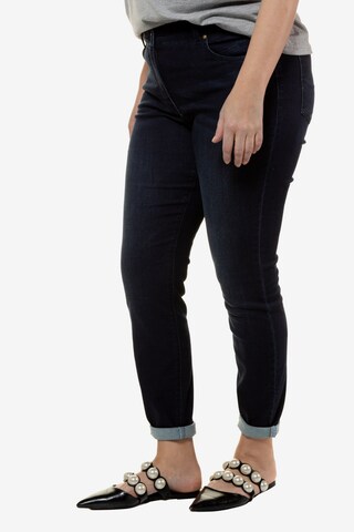 Studio Untold Regular Jeans in Blauw