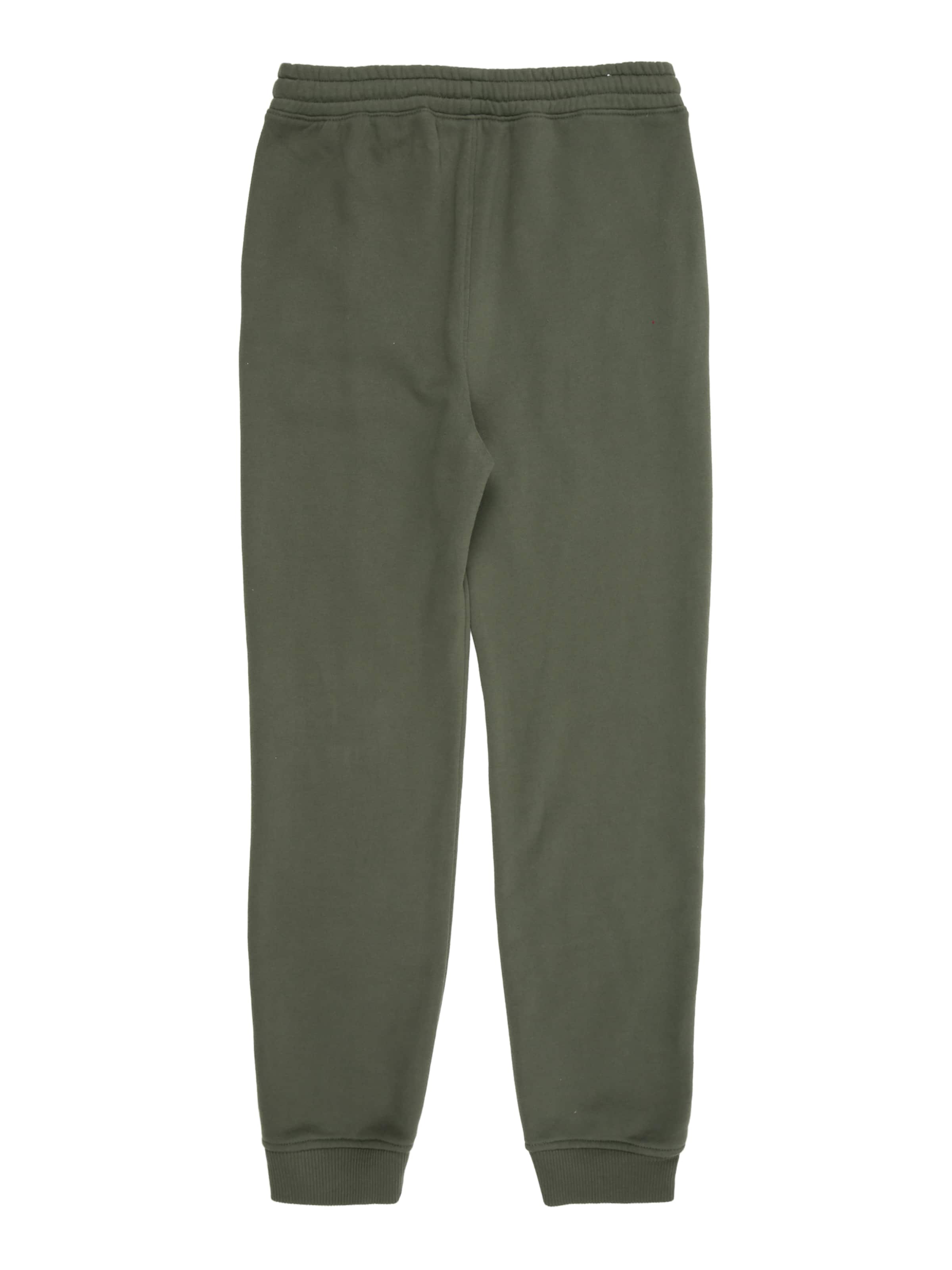 Abercrombie & Fitch Tapered Trousers 'ESSENTIAL' in Green
