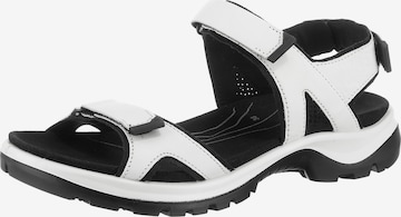 ECCO Hiking Sandals 'Offroad' in White: front