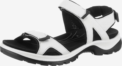 ECCO Hiking Sandals in Black / White, Item view