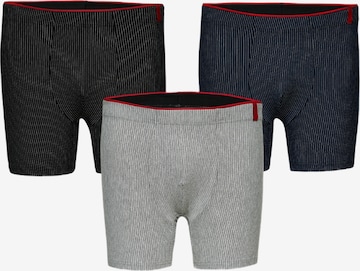 Boxers Weweus en bleu : devant