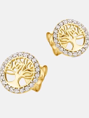 DIAMANT LETERNEL Earrings in Gold