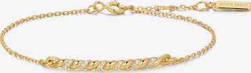 ANIA HAIE Armband in Gold: Vorderseite