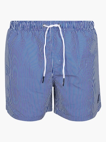 Suitable Swimming shorts in Blue: front