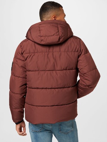 HOLLISTER Winter Jacket in Brown