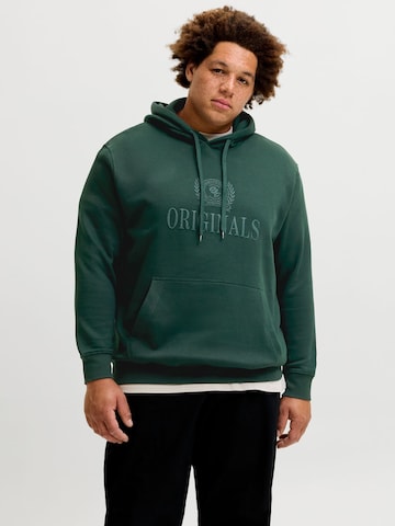 JACK & JONES Sweater in Green: front