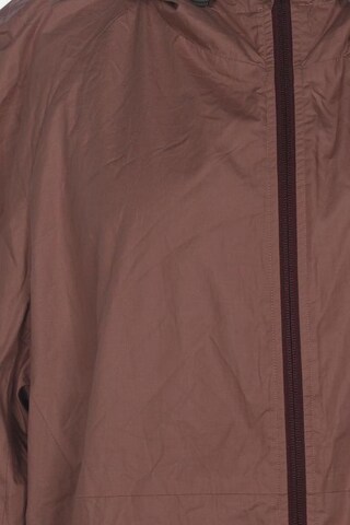 hessnatur Jacket & Coat in 8XL in Pink
