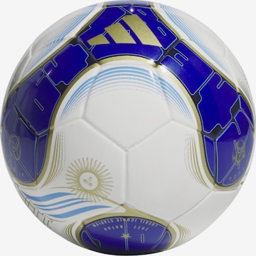 ADIDAS PERFORMANCE Ball in Mixed colors: front