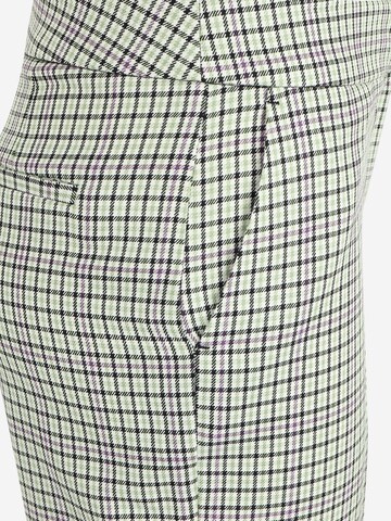 Regular Pantaloni cu dungă de la Dorothy Perkins Petite pe verde