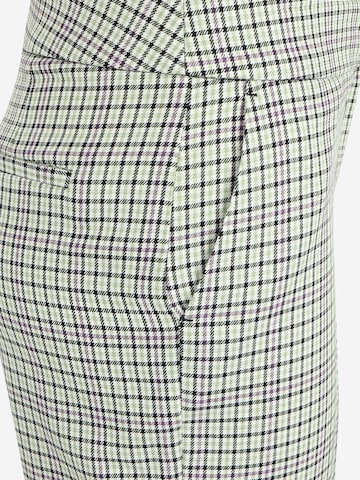 Dorothy Perkins Petite Regular Hose in Grün