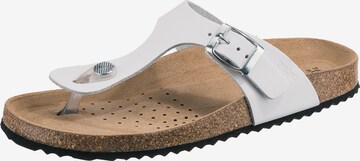 GEOX T-Bar Sandals 'Brionia' in White: front
