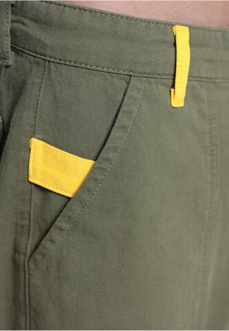 Loosefit Pantalon 'DWD Ipanema' DEF en vert
