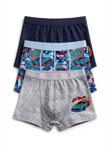 ÖTS Underpants 'ÖTS Herren-Boxershorts' in Grey: front
