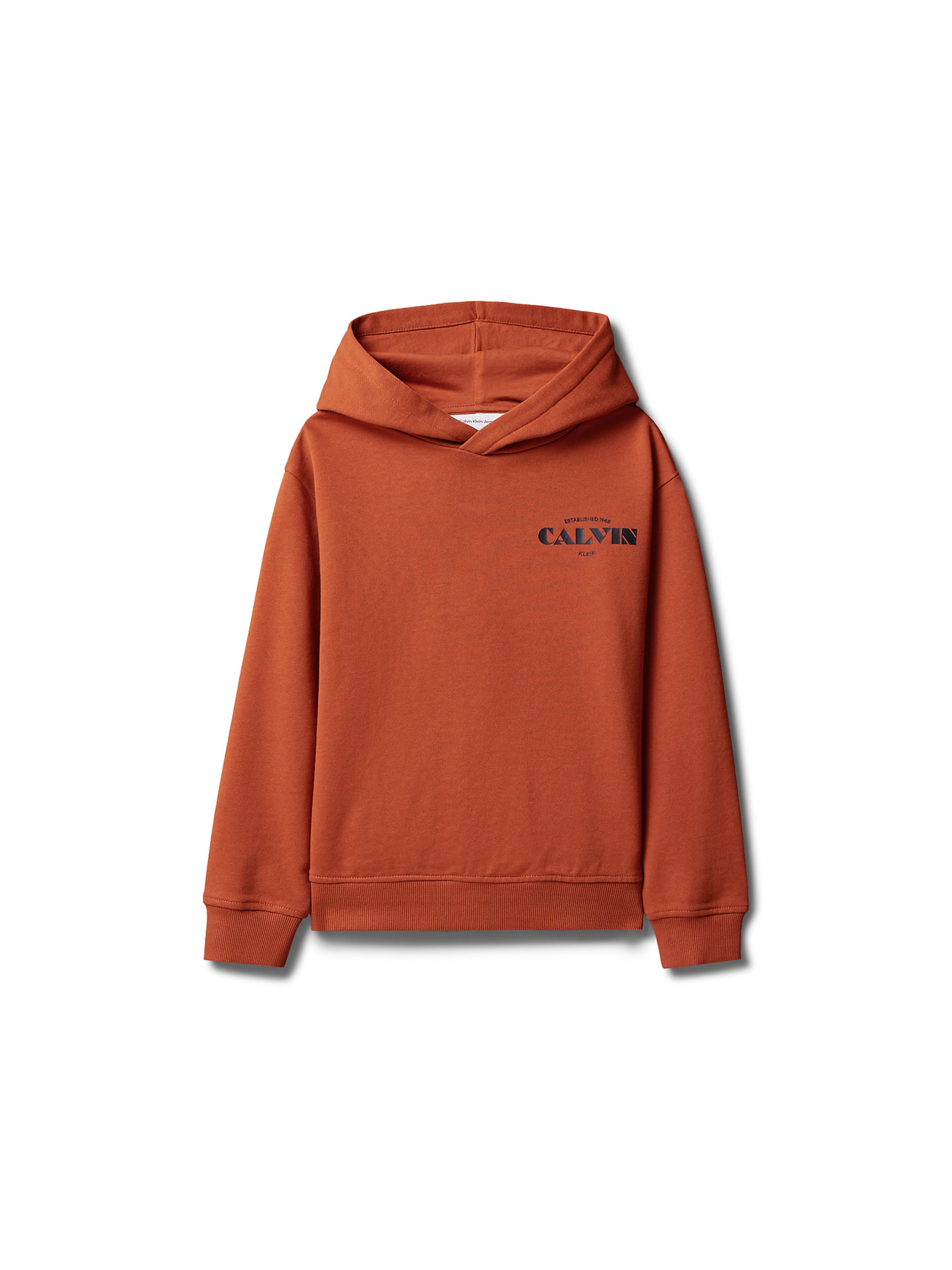 Calvin Klein Jeans Sweatshirt in Orange: Vorderseite