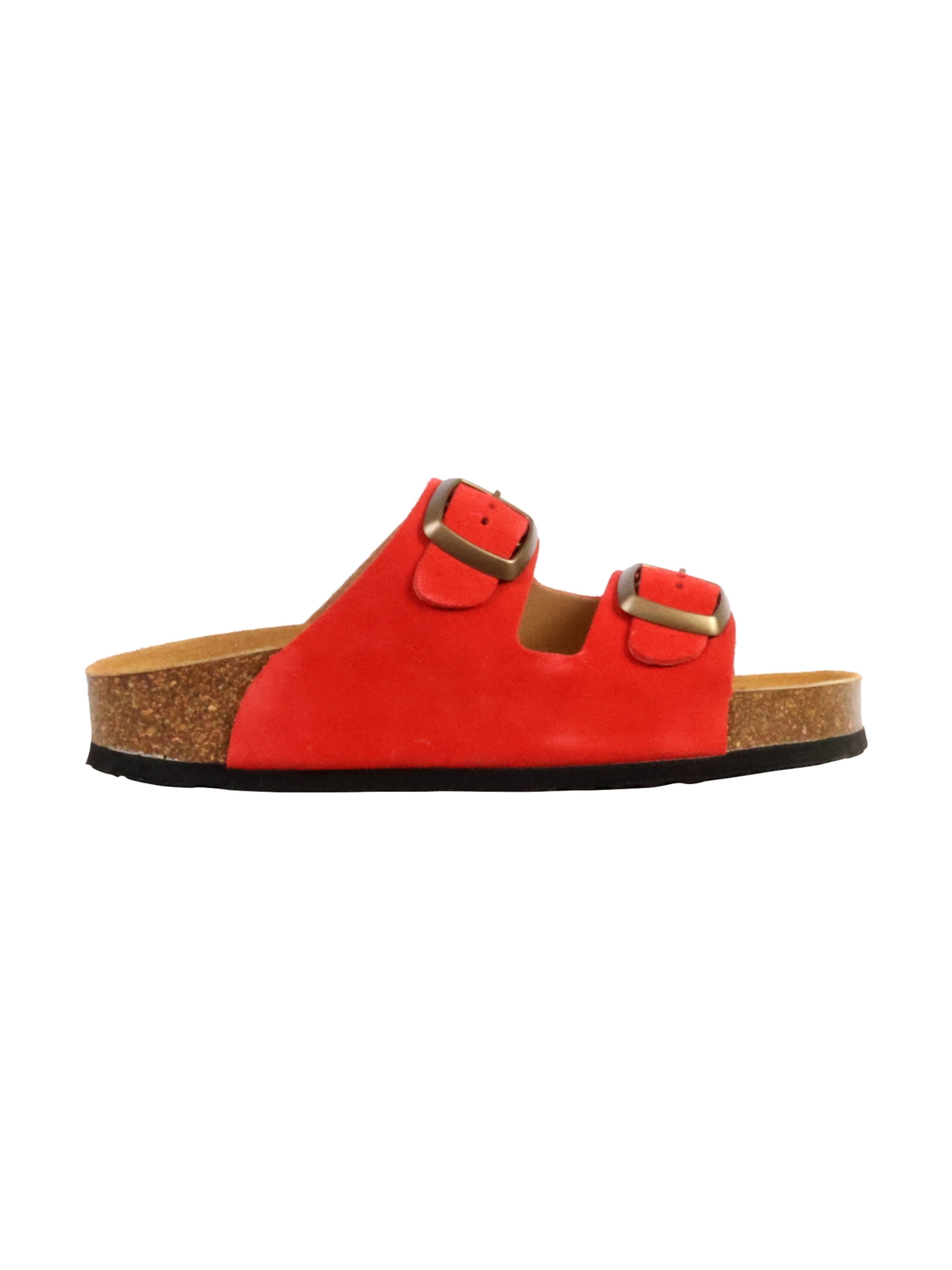Plakton Muiltjes in Rood