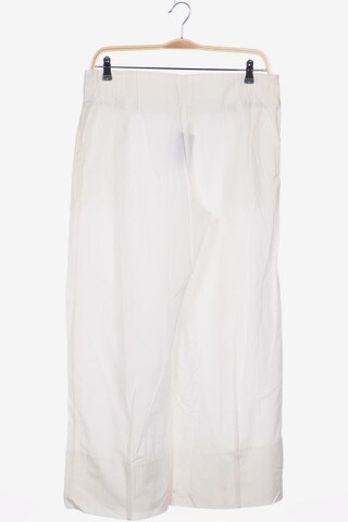 ABSOLUT by ZEBRA Pants in XXL in White