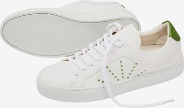 NINE TO FIVE Sneakers 'Grácia' in Green