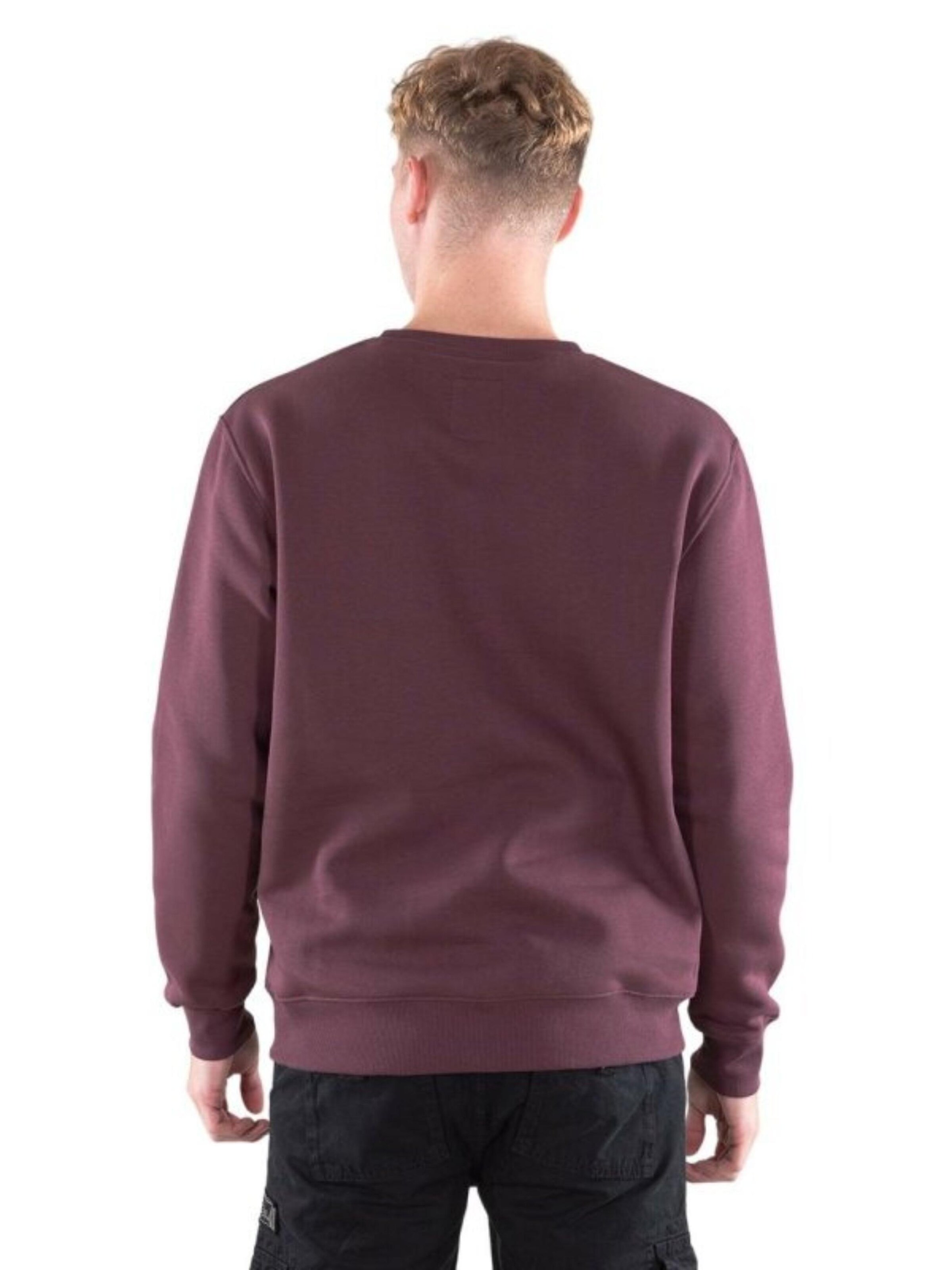 ALPHA INDUSTRIES Sweatshirt 'Basic Logo' in Red