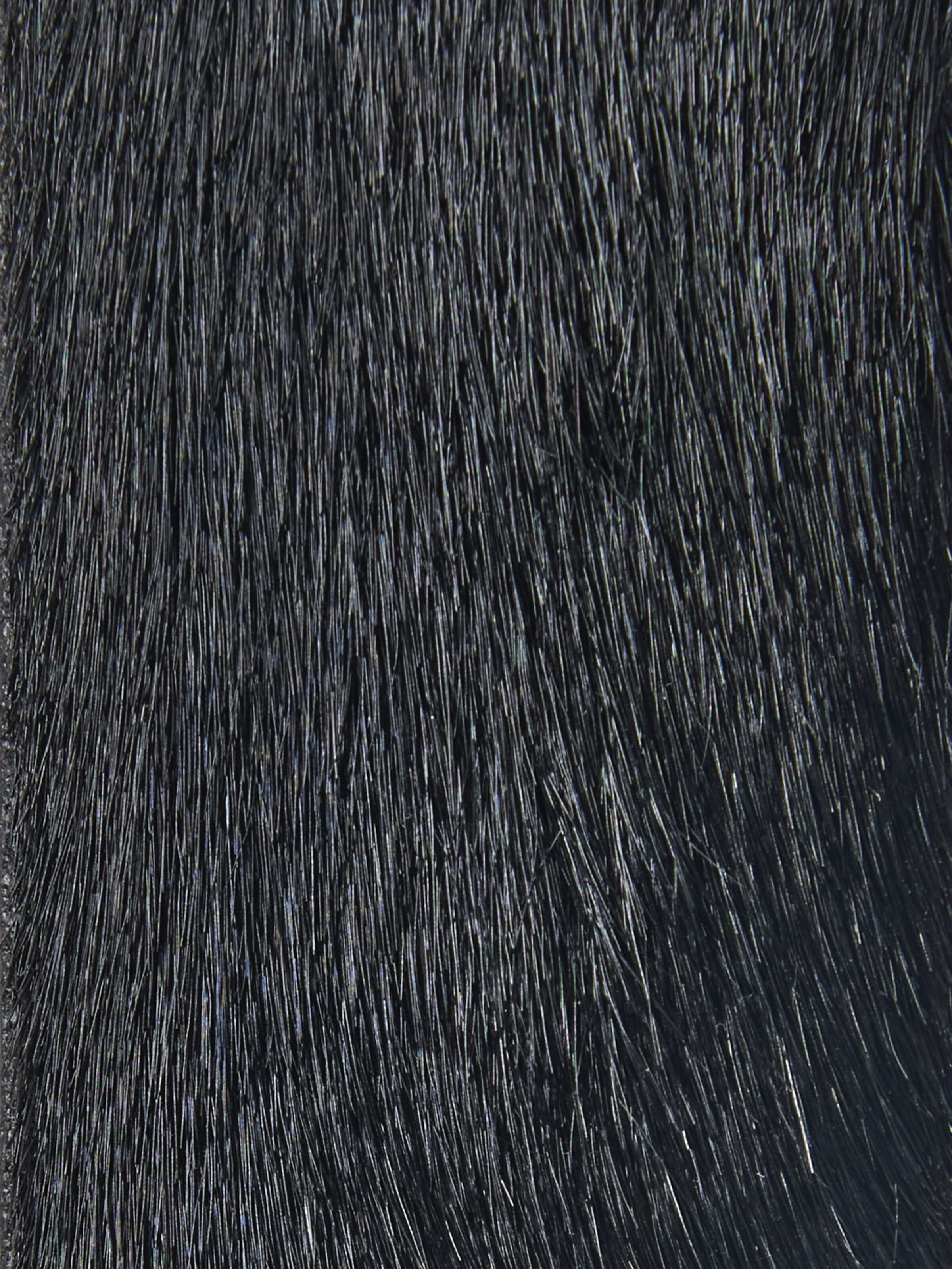 Cintura di SELECTED in nero