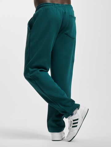 ROCAWEAR Loose fit Trousers in Blue