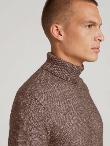 TOM TAILOR Pullover i brun