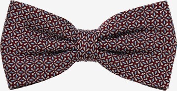 ETERNA Bow Tie in Brown: front