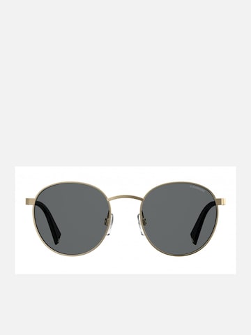 Polaroid Sunglasses 'PLD 2053/S' in Grey: front