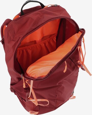 SALEWA Sports Backpack 'MTN Trainer 2 22L' in Red