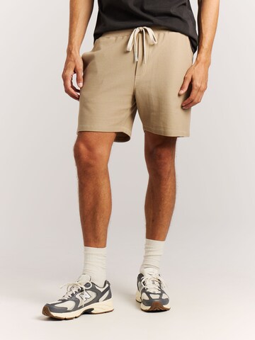 PROTEST Regular Pants 'PRTGraig' in Brown