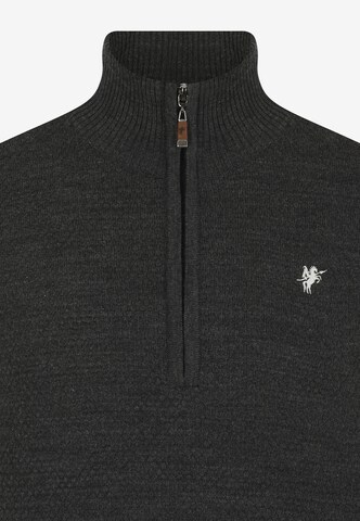 DENIM CULTURE Sweater 'Giotto' in Grey