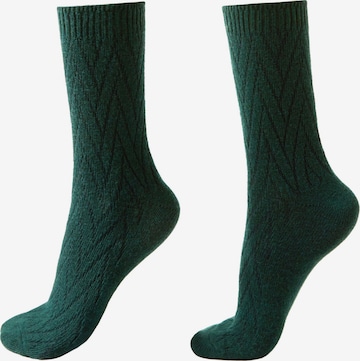 CALZEDONIA Socken in Grün: Vorderseite