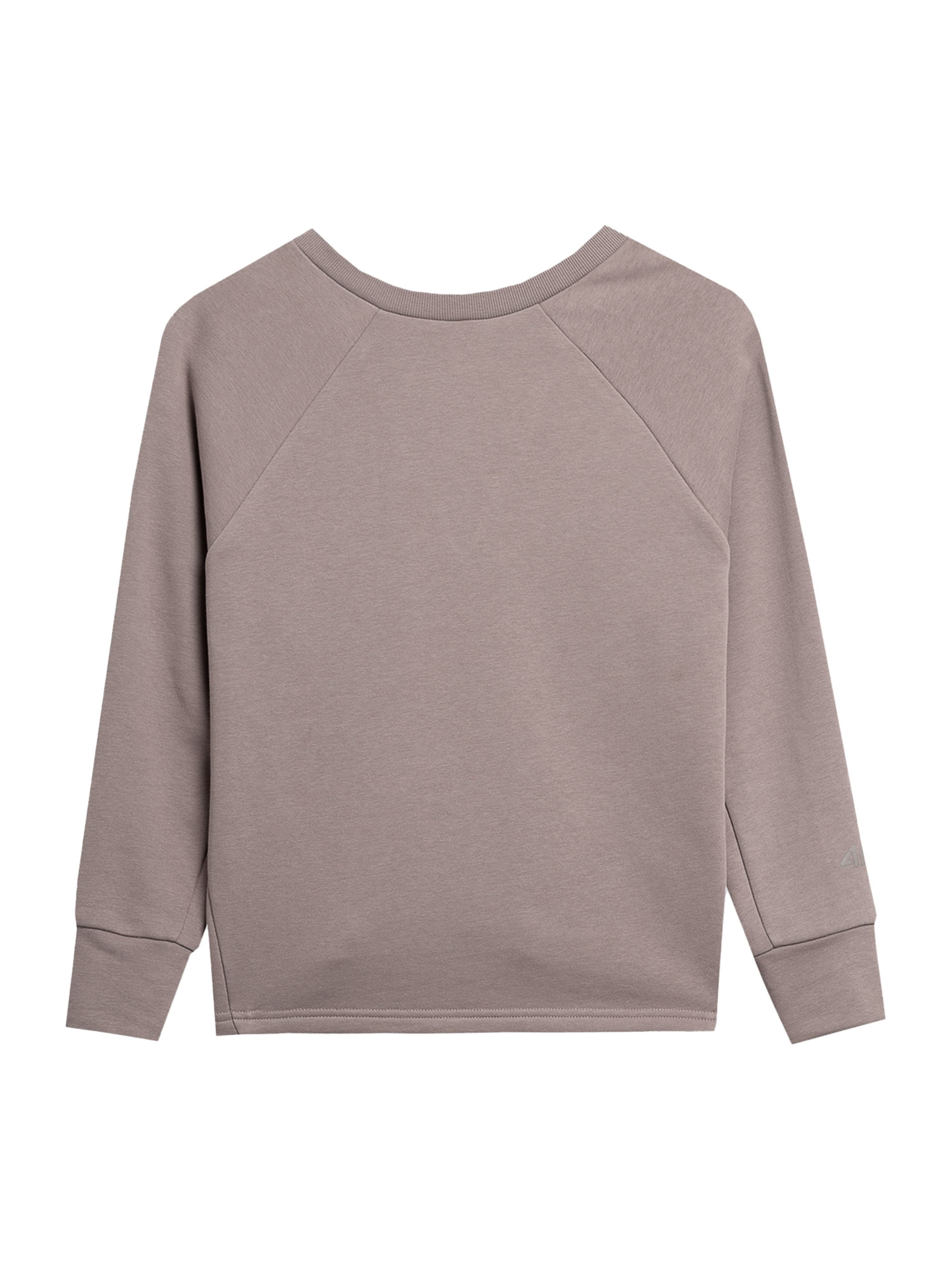 4F Sports sweatshirt in Brown: front