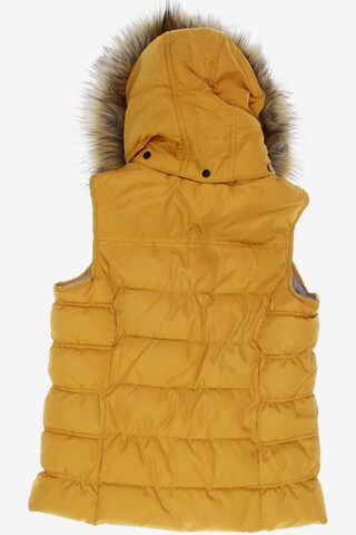 CECIL Vest in M in Orange