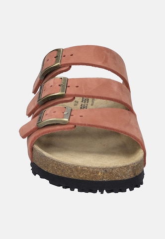 JOSEF SEIBEL Pantolette 'Hermine 05' in Orange