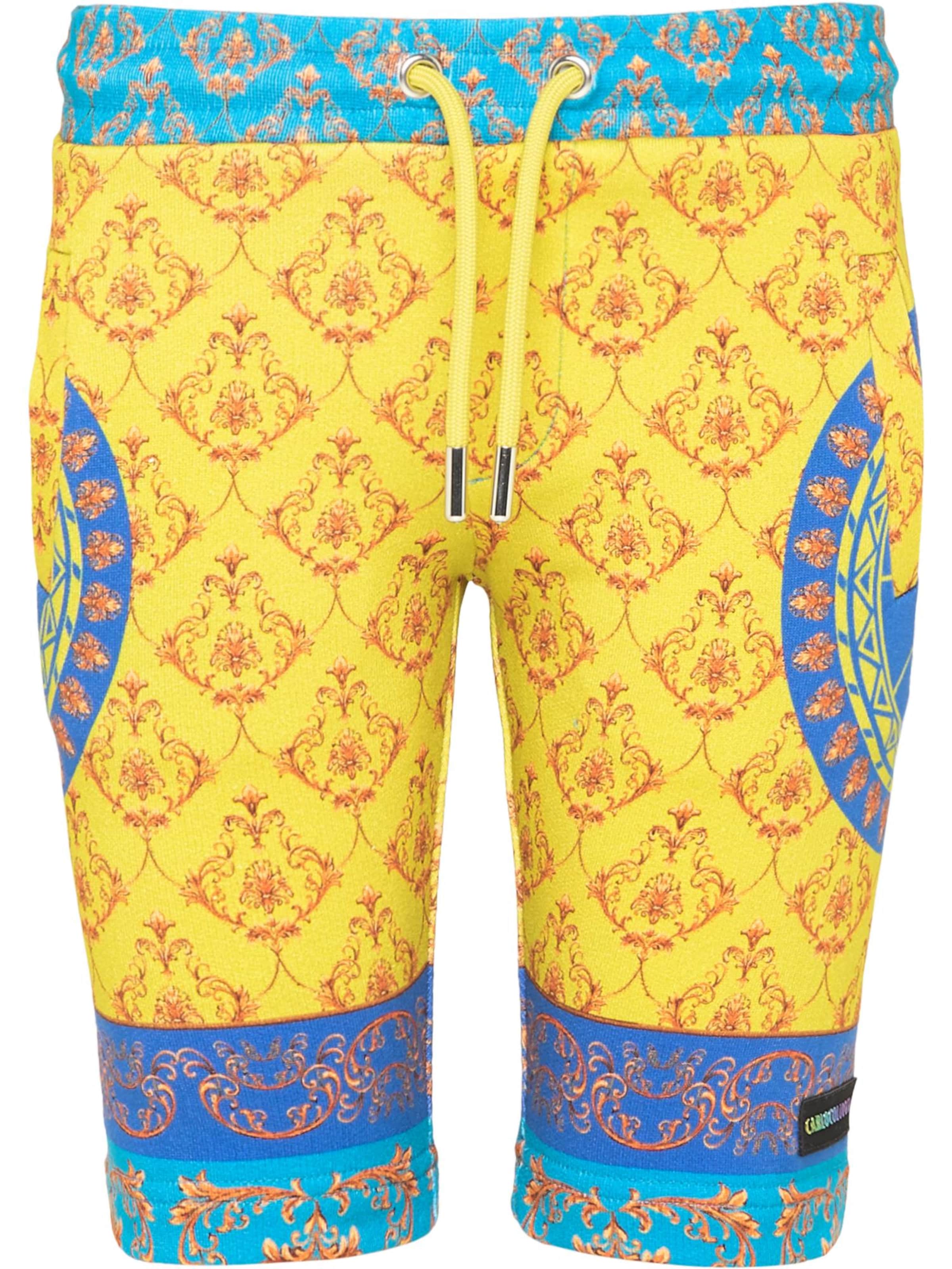 Regular Pantalon ' Colantoni ' Carlo Colucci en mélange de couleurs : devant