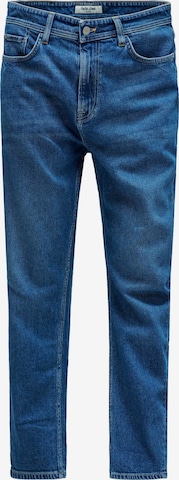 Salsa Jeans Jeans in Blau: Vorderseite