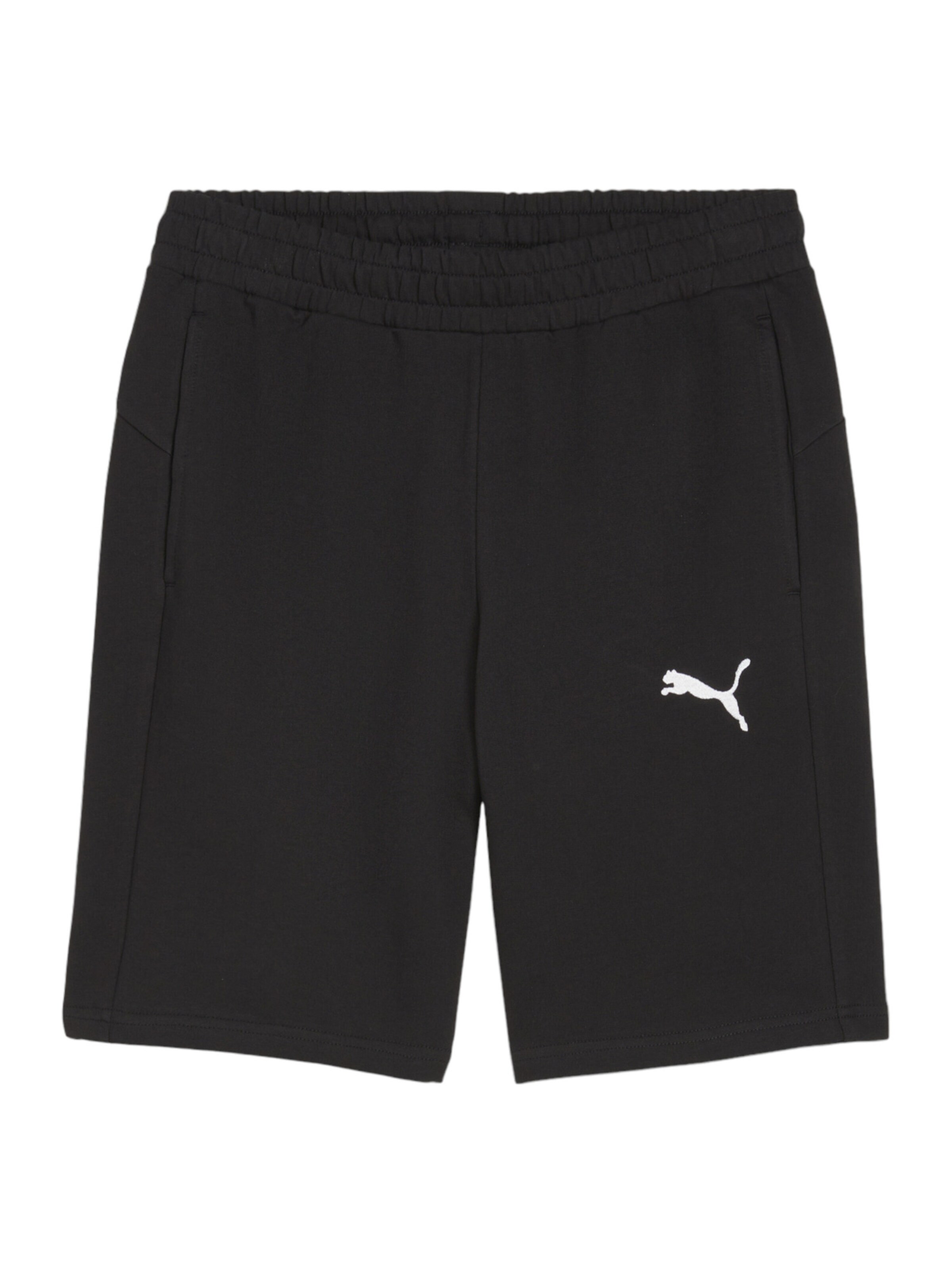 PUMA regular Sportsbukser 'TeamGOAL' i sort: forside