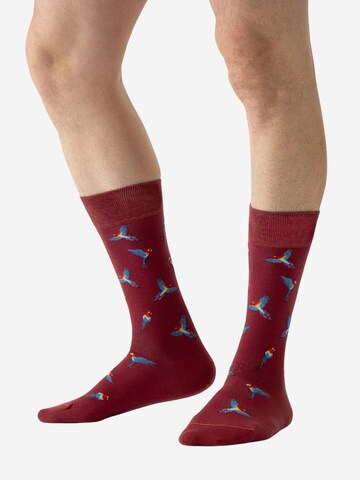 Von Jungfeld Socken 'Papagei Icon' in Rot